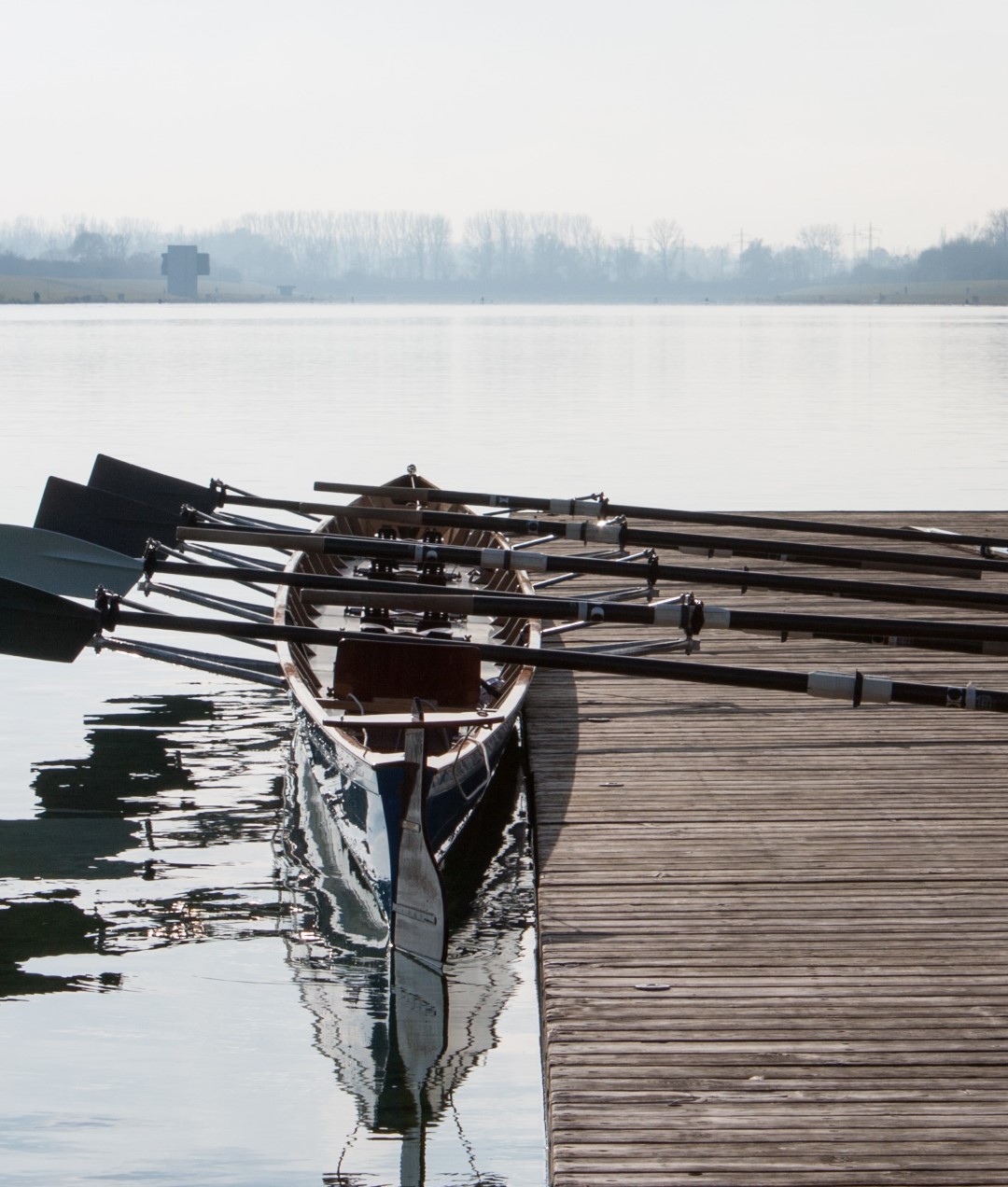 A rowing team, poised and ready for a training session on a serene lake. Their teamwork and determination reflect the qualities essential for empowering a proposal development team, like focus and endurance.