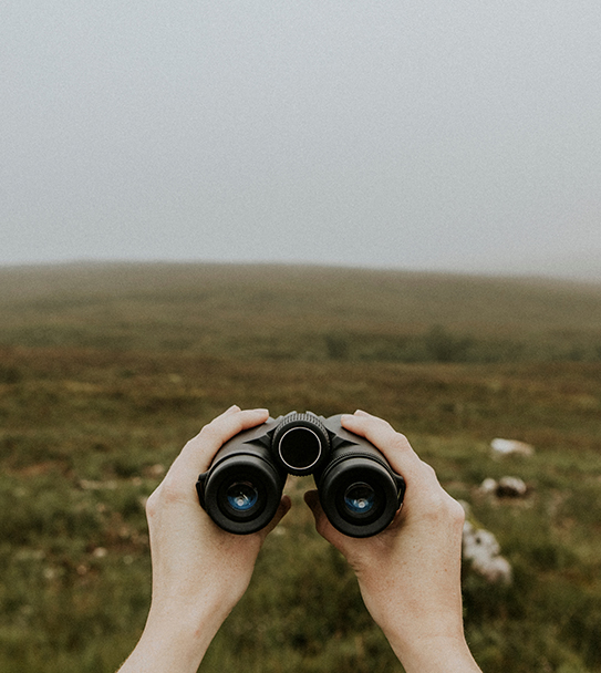 A person's hands hold a pair of black binoculars up against a blurry background of a grassy, overcast landscape.